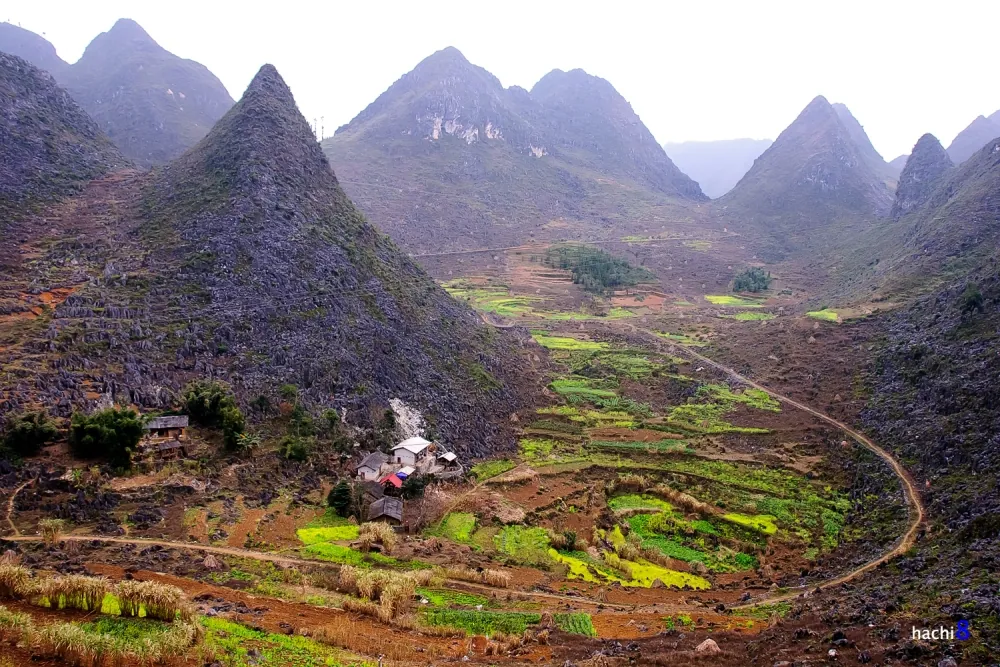 Sắc xuân rực rỡ trên cao nguyên đá Hà Giang Sắc xuân rực rỡ trên cao nguyên đá Hà Giang
