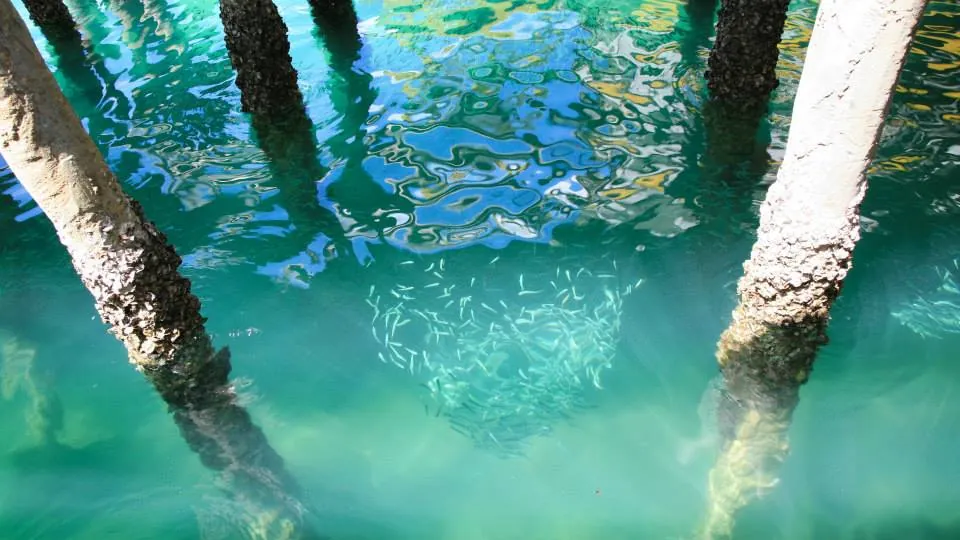 Tất tần tật kinh nghiệm du lịch đảo Koh Rong Samloem