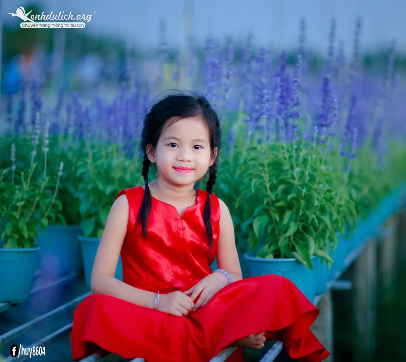 Cùng ngắm vườn hoa oải hương đẹp mê hồn ở Đồng Nai Ngắm vườn hoa oải hương đẹp mê hồn ở Đồng Nai