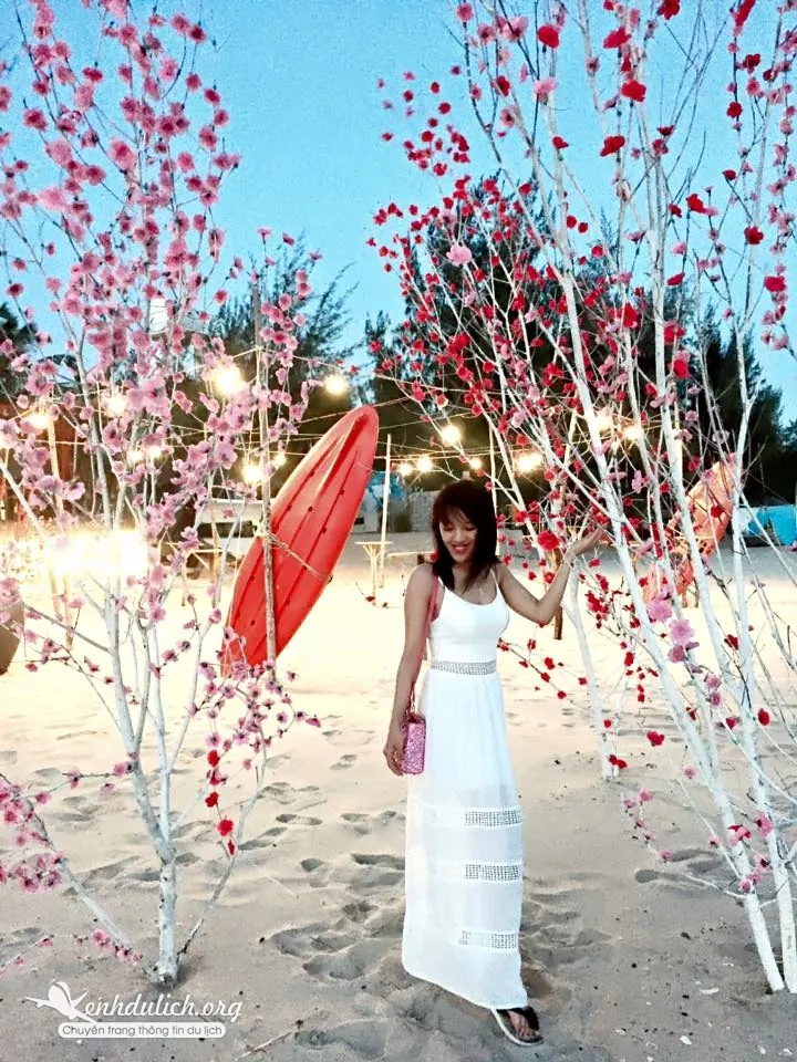 Coco Beachcamp thiên đường cắm trại đẹp như mơ Coco Beachcamp thiên đường cắm trại đẹp như mơ coco beachcamp 6