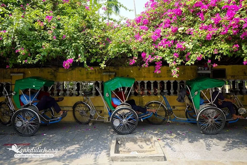 Kinh nghiệm du lịch Đà Nẵng - Hội An - Lý Sơn 5 ngày chỉ 3 triệu đồng Kinh nghiệm du lịch Đà Nẵng - Hội An - Lý Sơn