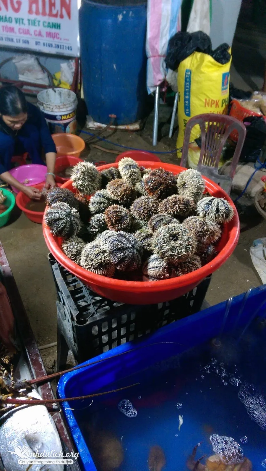 Kinh nghiệm du lịch Lý Sơn của 2 nàng cá sấu chúa Kinh nghiệm du lịch Lý Sơn Quảng Ngãi