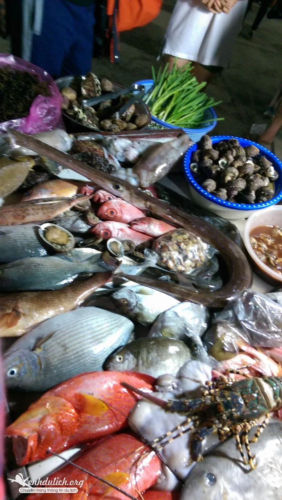 Kinh nghiệm du lịch Lý Sơn của 2 nàng cá sấu chúa Kinh nghiệm du lịch Lý Sơn Quảng Ngãi