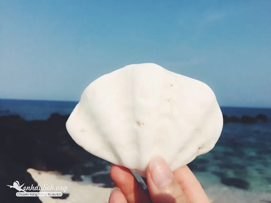 Kinh nghiệm du lịch Lý Sơn của 2 nàng cá sấu chúa Kinh nghiệm du lịch Lý Sơn Quảng Ngãi