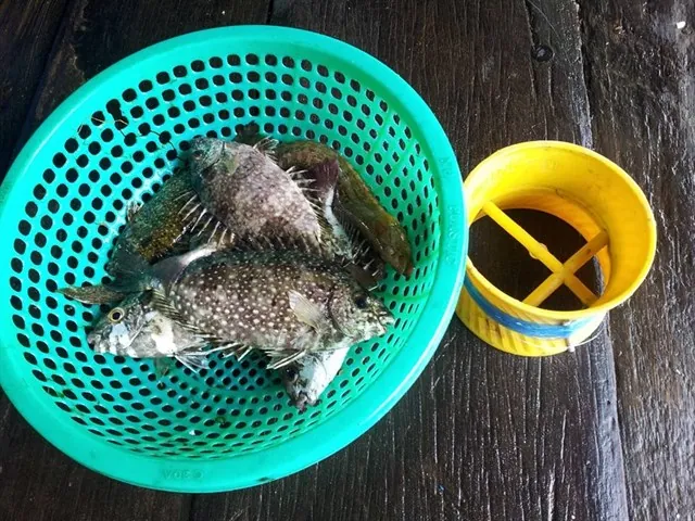 Tham khảo 9 điểm đến vắng người đẹp mê hồn cho ngày 304 Tham khảo 9 điểm đến vắng người đẹp mê hồn cho ngày 304