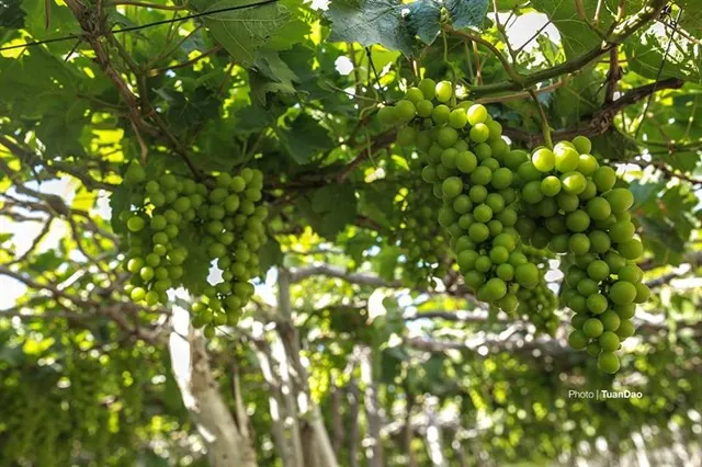 Tham khảo 9 điểm đến vắng người đẹp mê hồn cho ngày 304 Tham khảo 9 điểm đến vắng người đẹp mê hồn cho ngày 304