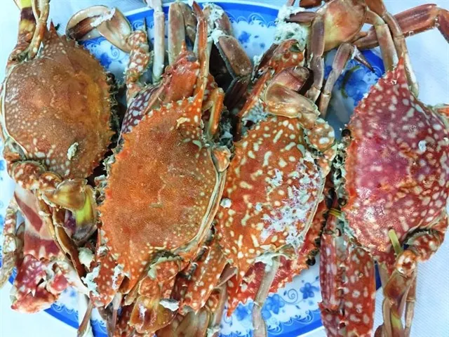 Tham khảo 9 điểm đến vắng người đẹp mê hồn cho ngày 304 Tham khảo 9 điểm đến vắng người đẹp mê hồn cho ngày 304