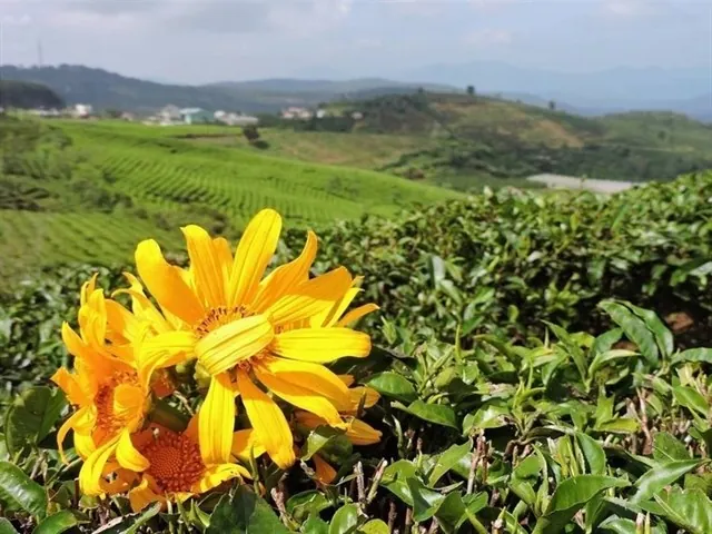 9 điểm chụp ảnh quá chất khiến teen loạn nhịp trên cộng đồng Instagram 9 điểm chụp ảnh quá chất khiến teen loạn nhịp trên cộng đồng Instagram