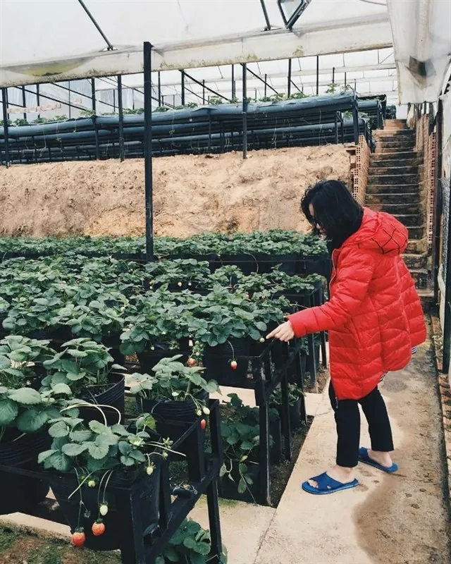 9 điểm chụp ảnh quá chất khiến teen loạn nhịp trên cộng đồng Instagram 9 điểm chụp ảnh quá chất khiến teen loạn nhịp trên cộng đồng Instagram