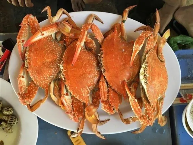 Biển Dinh Cô - Bãi tắm tuyệt đẹp ở Vũng Tàu không phải ai cũng biết đến Biển Dinh Cô - Bãi tắm tuyệt đẹp ở Vũng Tàu không phải ai cũng biết đến