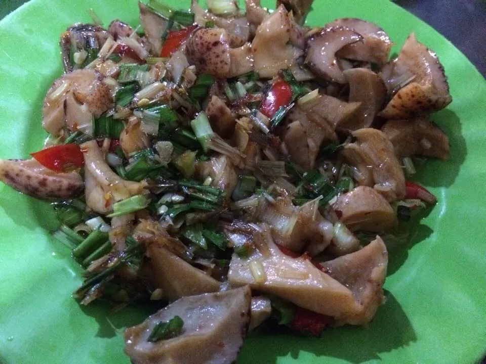 Du lịch Quy Nhơn: Tất cả những điều cần biết