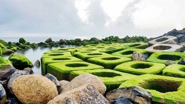 Giới trẻ rầm rộ check-in thiên đường phủ rêu xanh ở Phú Yên Bờ đá rêu xanh tuyệt đẹp ở Xóm Rớ