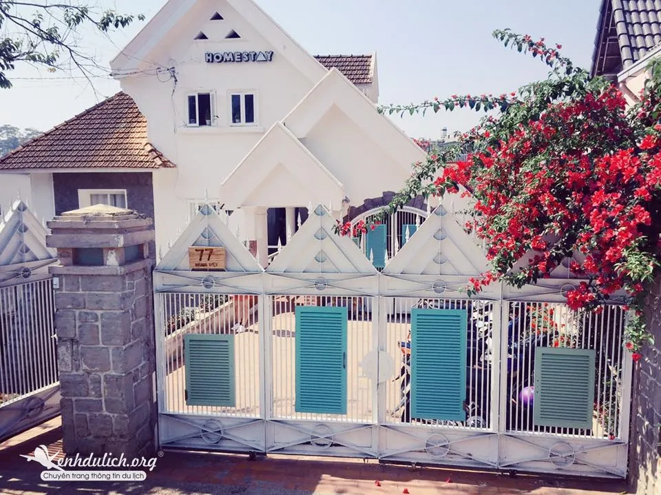 Đà Lạt quá đỗi thơ mộng theo chân cô MC Hà Thành xinh đẹp kinh nghiệm du lịch Đà Lạt