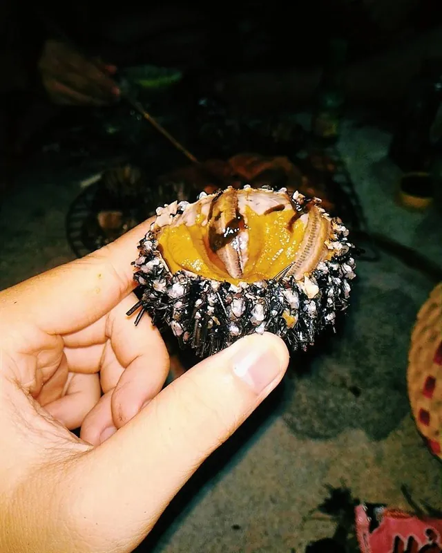 Bí kíp vi vu Hòn Sơn 3 ngày 2 đêm chưa tới 1 triệu 500k Bí kíp vi vu Hòn Sơn 3 ngày 2 đêm chưa tới 1 triệu 500k