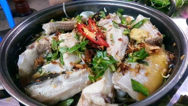 Bí kíp vi vu Vũng Tàu 2 ngày 1 đêm bằng xe máy với 500k Bí kíp vi vu Vũng Tàu 2 ngày 1 đêm bằng xe máy với 500k