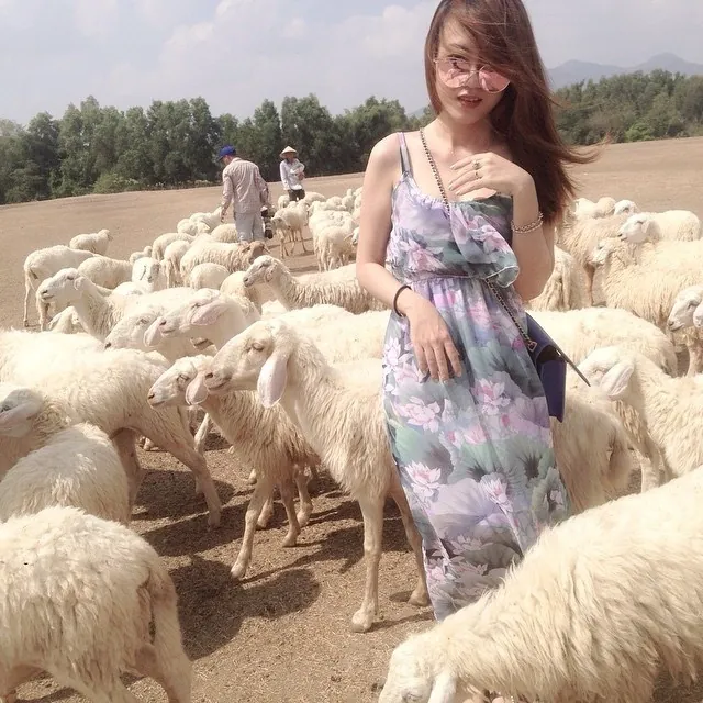 Chụp ảnh siêu cute với cánh đồng cừu chỉ cách Sài Gòn 70 km Chụp ảnh siêu cute với cánh đồng cừu chỉ cách Sài Gòn 70 km