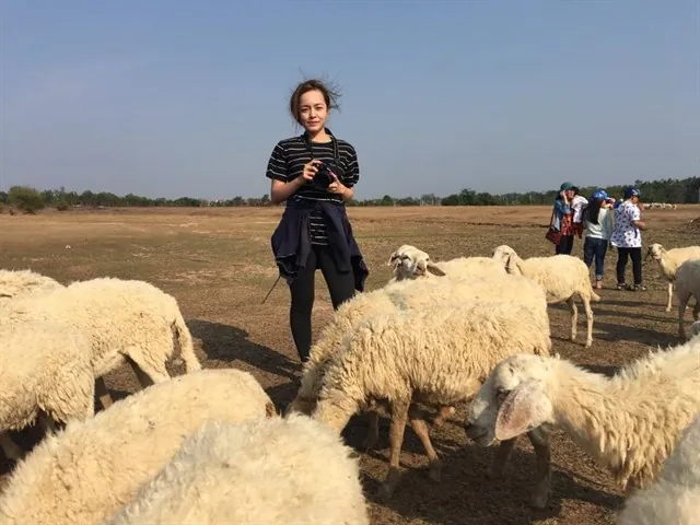 Chụp ảnh siêu cute với cánh đồng cừu chỉ cách Sài Gòn 70 km Chụp ảnh siêu cute với cánh đồng cừu chỉ cách Sài Gòn 70 km