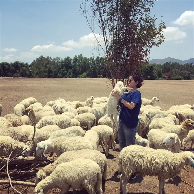 Chụp ảnh siêu cute với cánh đồng cừu chỉ cách Sài Gòn 70 km Chụp ảnh siêu cute với cánh đồng cừu chỉ cách Sài Gòn 70 km