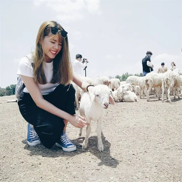Chụp ảnh siêu cute với cánh đồng cừu chỉ cách Sài Gòn 70 km Chụp ảnh siêu cute với cánh đồng cừu chỉ cách Sài Gòn 70 km