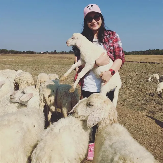 Chụp ảnh siêu cute với cánh đồng cừu chỉ cách Sài Gòn 70 km Chụp ảnh siêu cute với cánh đồng cừu chỉ cách Sài Gòn 70 km