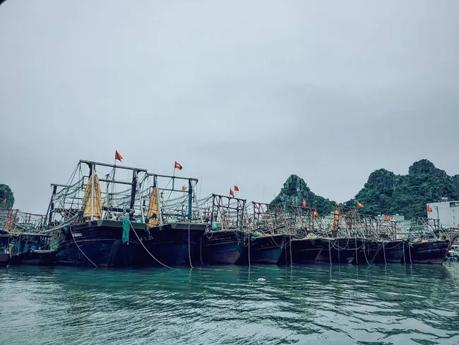 Chuyến đi Cô Tô 5 sao siêu hot của cô nàng 9x Ở chỗ đẹp ăn món ngon và chụp ảnh cực ảo Chuyến đi Cô Tô 5 sao siêu hot của cô nàng 9x Ở chỗ đẹp ăn món ngon và chụp ảnh cực ảo - Ảnh 2