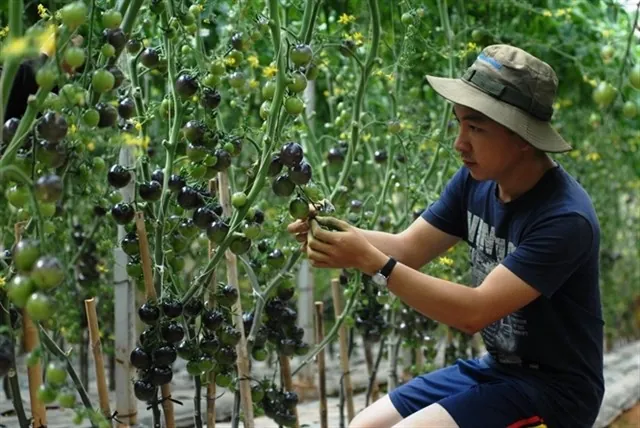 Đưa nhau đi trốn ở 12 điểm đến đặc biệt nhất Đà Lạt Đưa nhau đi trốn ở 12 điểm đến đặc biệt nhất Đà Lạt