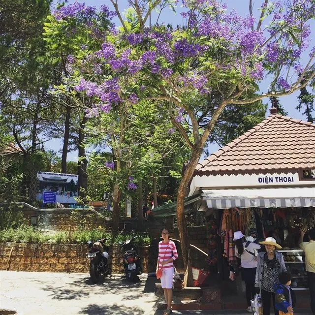 Đưa nhau đi trốn ở 12 điểm đến đặc biệt nhất Đà Lạt Đưa nhau đi trốn ở 12 điểm đến đặc biệt nhất Đà Lạt
