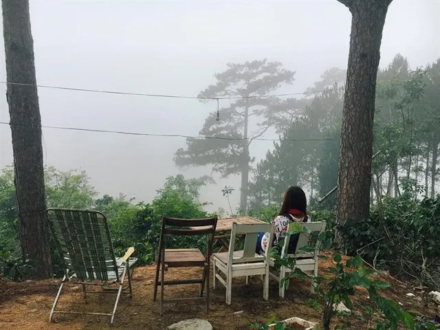 Đưa nhau đi trốn với top điểm vừa mới lộ diện ở Đà Lạt Đưa nhau đi trốn với top điểm vừa mới lộ diện ở Đà Lạt