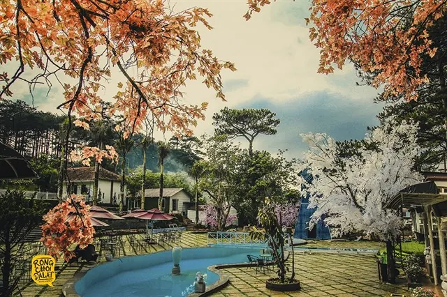 Đưa nhau đi trốn với top điểm vừa mới lộ diện ở Đà Lạt Đưa nhau đi trốn với top điểm vừa mới lộ diện ở Đà Lạt