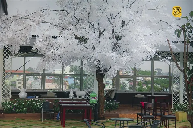 Đưa nhau đi trốn với top điểm vừa mới lộ diện ở Đà Lạt Đưa nhau đi trốn với top điểm vừa mới lộ diện ở Đà Lạt