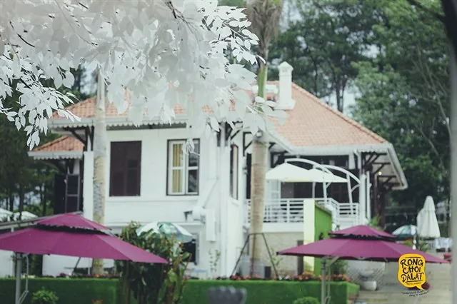 Đưa nhau đi trốn với top điểm vừa mới lộ diện ở Đà Lạt Đưa nhau đi trốn với top điểm vừa mới lộ diện ở Đà Lạt