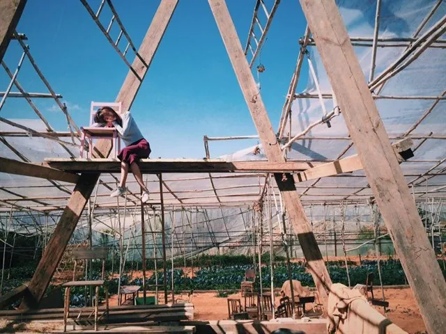 Đưa nhau đi trốn với top điểm vừa mới lộ diện ở Đà Lạt Đưa nhau đi trốn với top điểm vừa mới lộ diện ở Đà Lạt