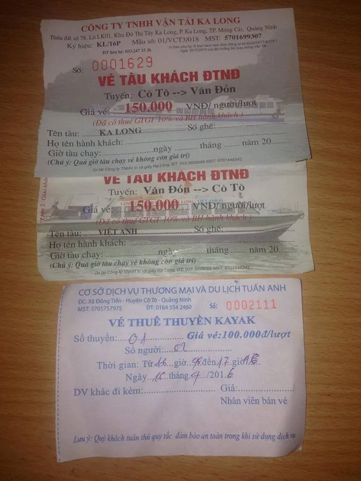 Kinh nghiệm du lịch Cô Tô 3 ngày 2 đêm chi tiết nhất kinh nghiệm du lịch Cô Tô