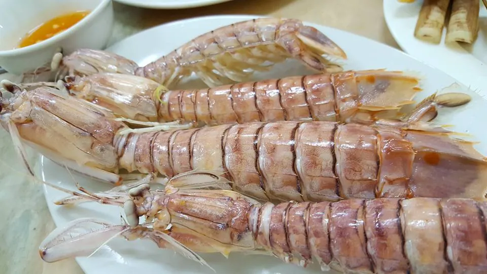 Kinh nghiệm du lịch Cô Tô 3 ngày 2 đêm chi tiết nhất Kinh nghiệm du lịch Cô Tô