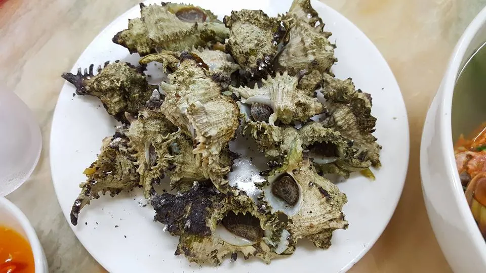 Kinh nghiệm du lịch Cô Tô 3 ngày 2 đêm chi tiết nhất Kinh nghiệm du lịch Cô Tô