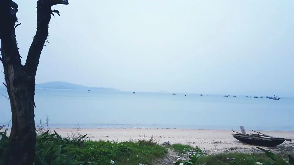 Kinh nghiệm du lịch Cô Tô 3 ngày 2 đêm chi tiết nhất Kinh nghiệm du lịch Cô Tô