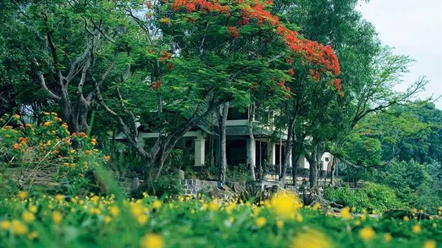 Picnic bao đã với thác Đá Hàn cách Sài Gòn 70km đi về trong ngày bằng xe máy Picnic bao đã với thác Đá Hàn cách Sài Gòn 70km đi về trong ngày bằng xe máy
