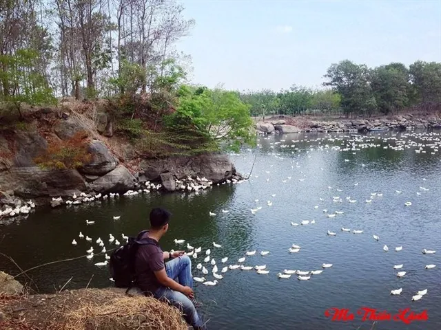 Thung Lũng Ma Thiên Lãnh – Điểm phượt tuyệt đẹp ít người biết ở Tây Ninh
