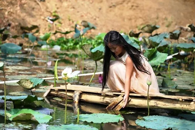 Thung Lũng Ma Thiên Lãnh – Điểm phượt tuyệt đẹp ít người biết ở Tây Ninh
