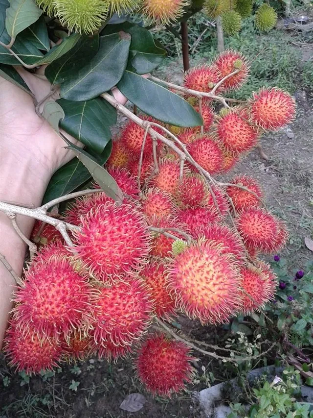 Truy lùng 7 điểm đến thích hợp nhất cho hội độc thân
