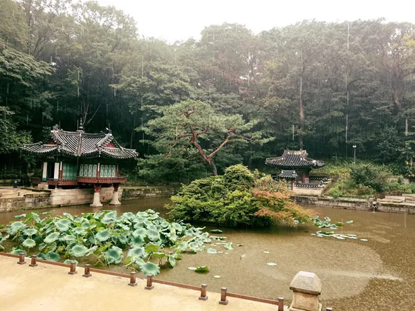 Tư vấn du lịch Hàn Quốc 7 ngày với 20 triệu đồng Tư vấn du lịch Seoul Hàn Quốc 7 ngày 20 triệu đồng