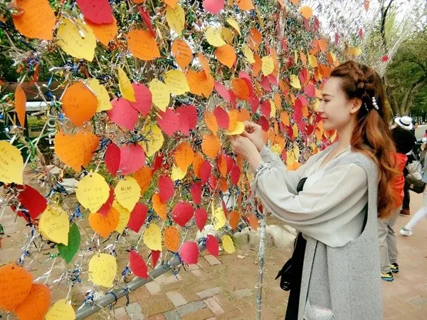 Tư vấn du lịch Hàn Quốc 7 ngày với 20 triệu đồng Tư vấn du lịch Seoul Hàn Quốc 7 ngày 20 triệu đồng