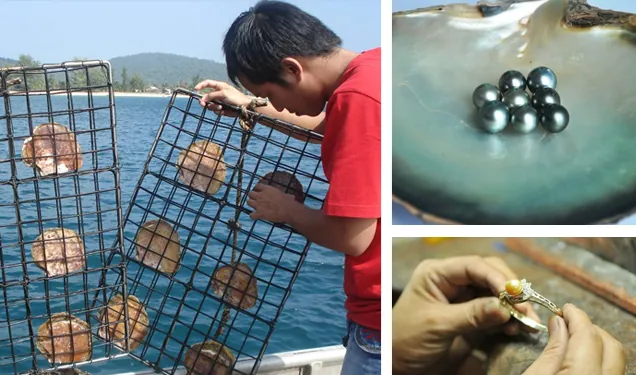 Tuần trăng mật trên đảo Phú Quốc của cặp vợ chồng mới cưới Tuần trăng mật trên đảo Phú Quốc của cặp vợ chồng mới cưới kenhdulich%20a4