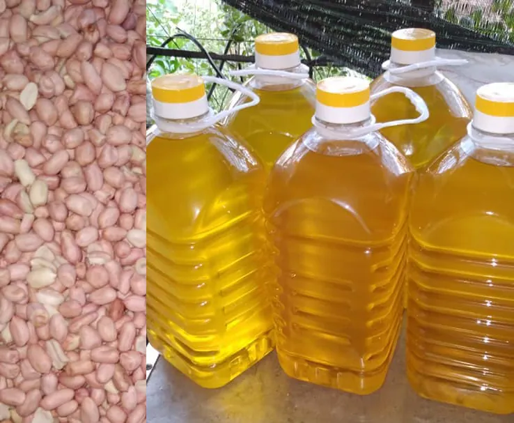 Dầu lạc tự làm – Tác dụng tuyệt vời của dầu lạc tốt cho sức khoẻ