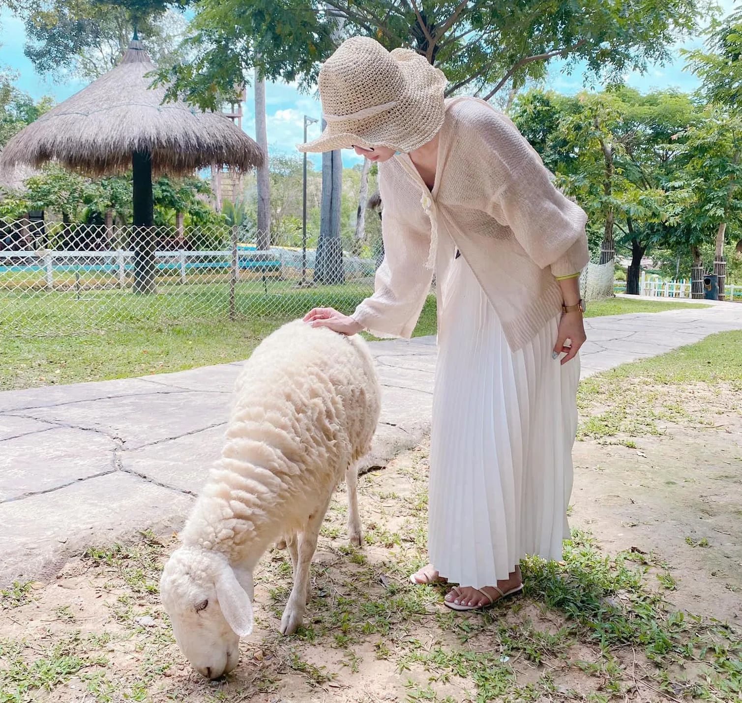 Review kinh nghiệm đi chơi vườn thú Vinpearl Safari Phú Quốc