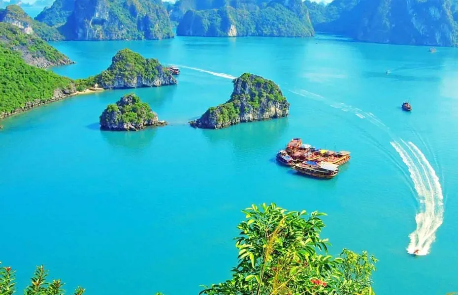 Tạo điều kiện cho du khách sau đại dịch, nhiều tour du lịch giảm kịch sàn