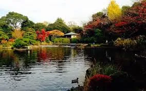 Top 6 công viên ở Tokyo dành cho các gia đình du lịch nhật bản Nguồn: internet