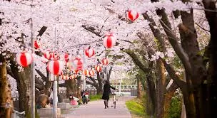 Top 6 công viên ở Tokyo dành cho các gia đình du lịch nhật bản Top 6 công viên ở Tokyo dành cho các gia đình du lịch nhật bản 05