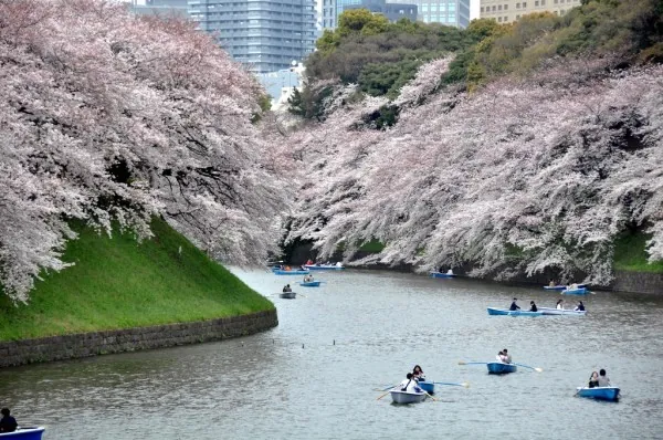Top 6 công viên ở Tokyo dành cho các gia đình du lịch nhật bản Top 6 công viên ở Tokyo dành cho các gia đình du lịch nhật bản 06