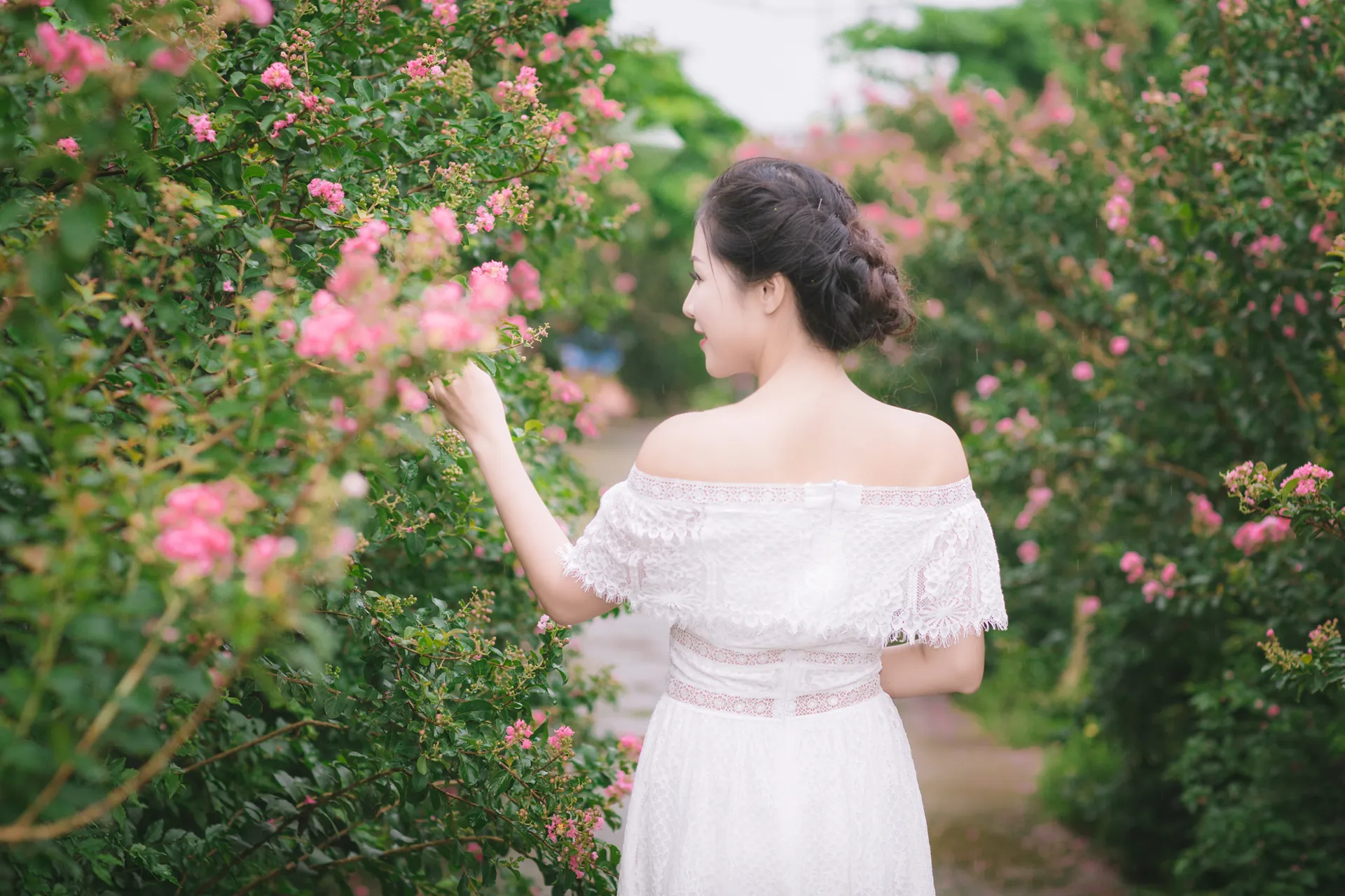 Check in trên con đường hoa Tường Vy đẹp mê hồn giữa hè ngay tại Hà Nội Check in trên con đường hoa Tường Vy đẹp mê hồn giữa hè ngay tại Hà Nội 07